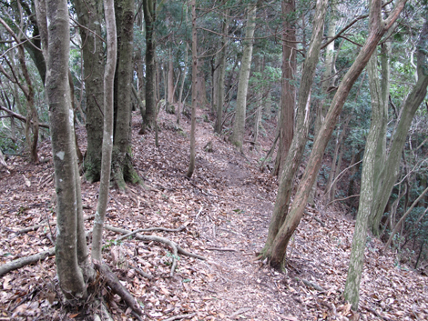 20140102hike (224)